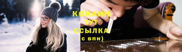 прущие крисы Гусев